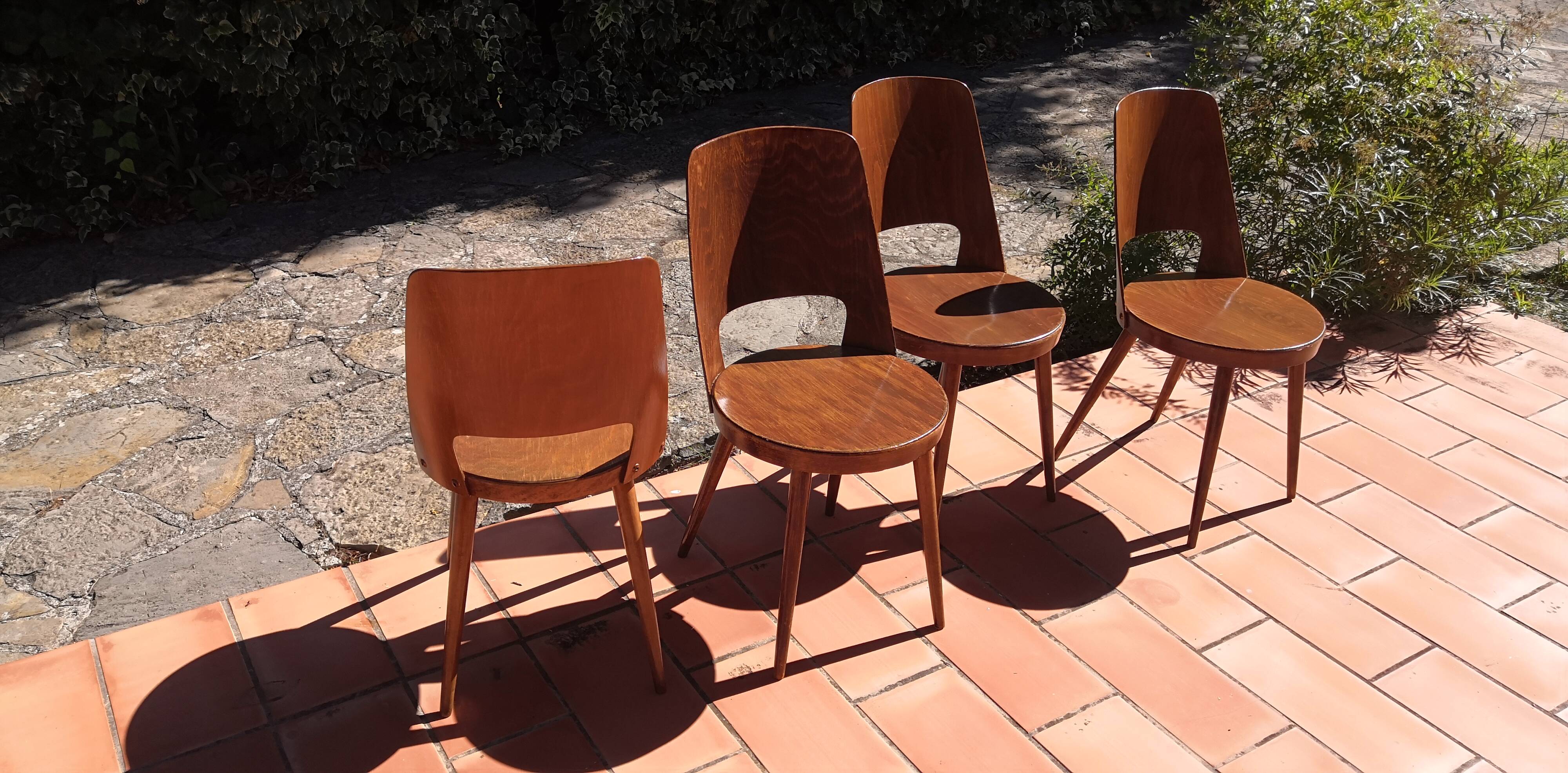 Vintage baumann mondor chairs 60