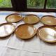 6 stoneware dinner plates