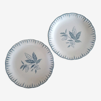 Lot de 2 assiettes terre de fer