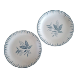 Set of 2 iron earth plates