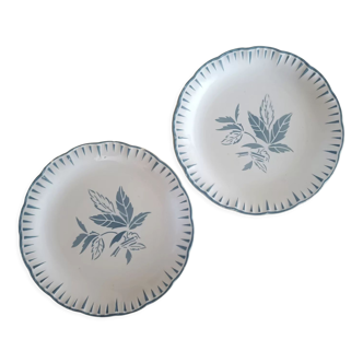 Lot de 2 assiettes terre de fer