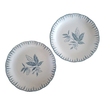 Set of 2 iron earth plates