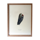 Natural History Color Lithography Pic Épeichette 1929