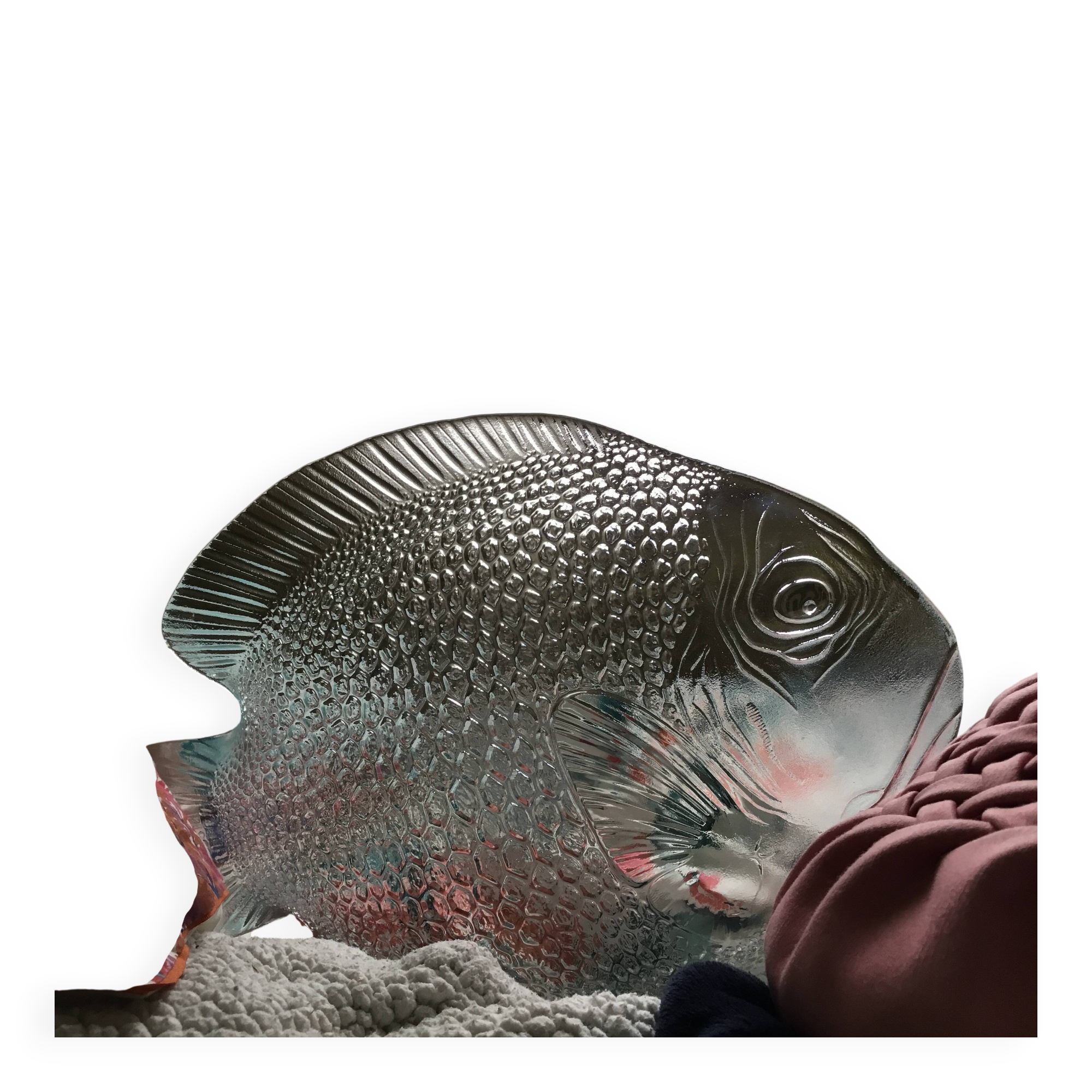 Fish dish