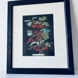 Framed lithograph of cherries