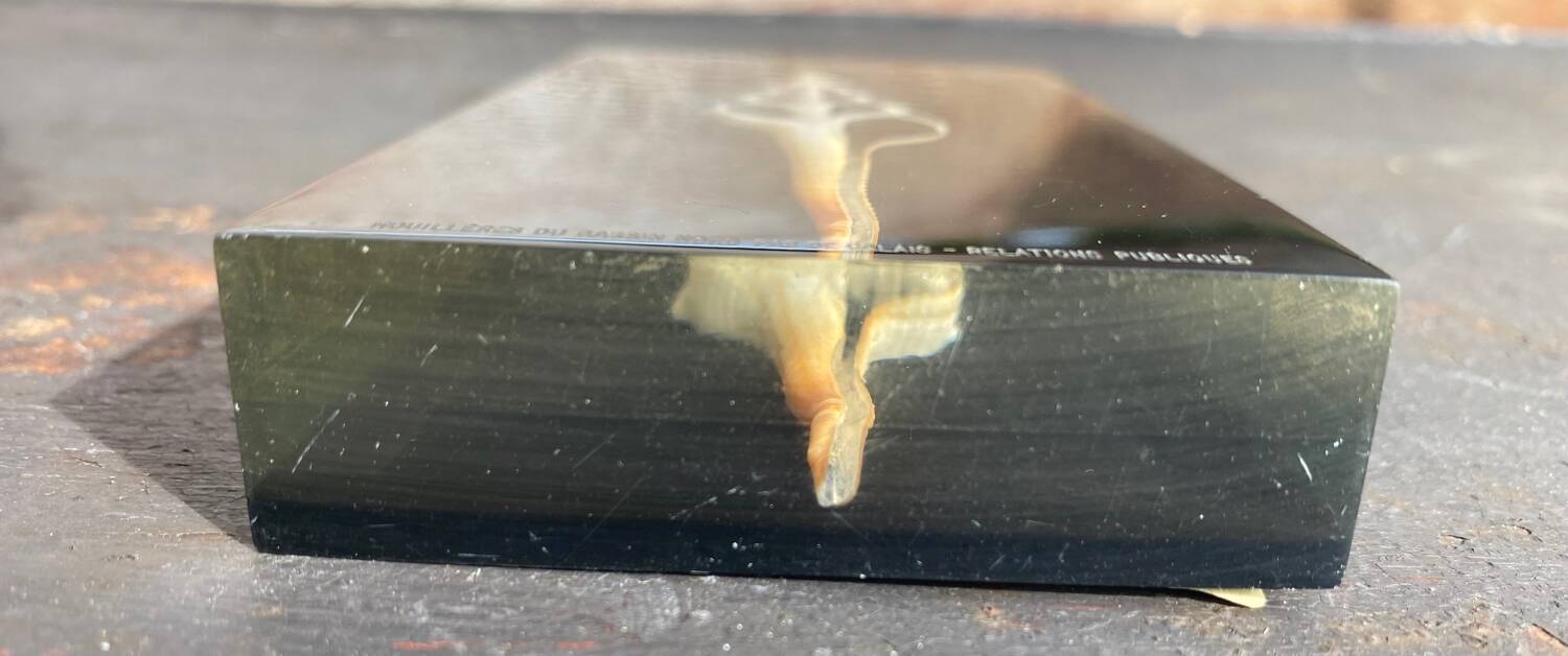 Resin paperweight with shell inclusion