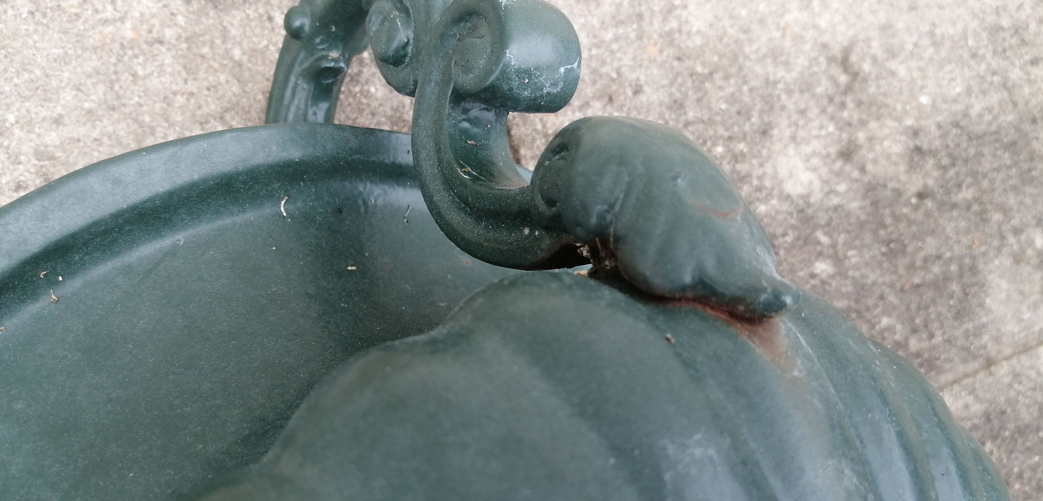 Cast iron medicis vases