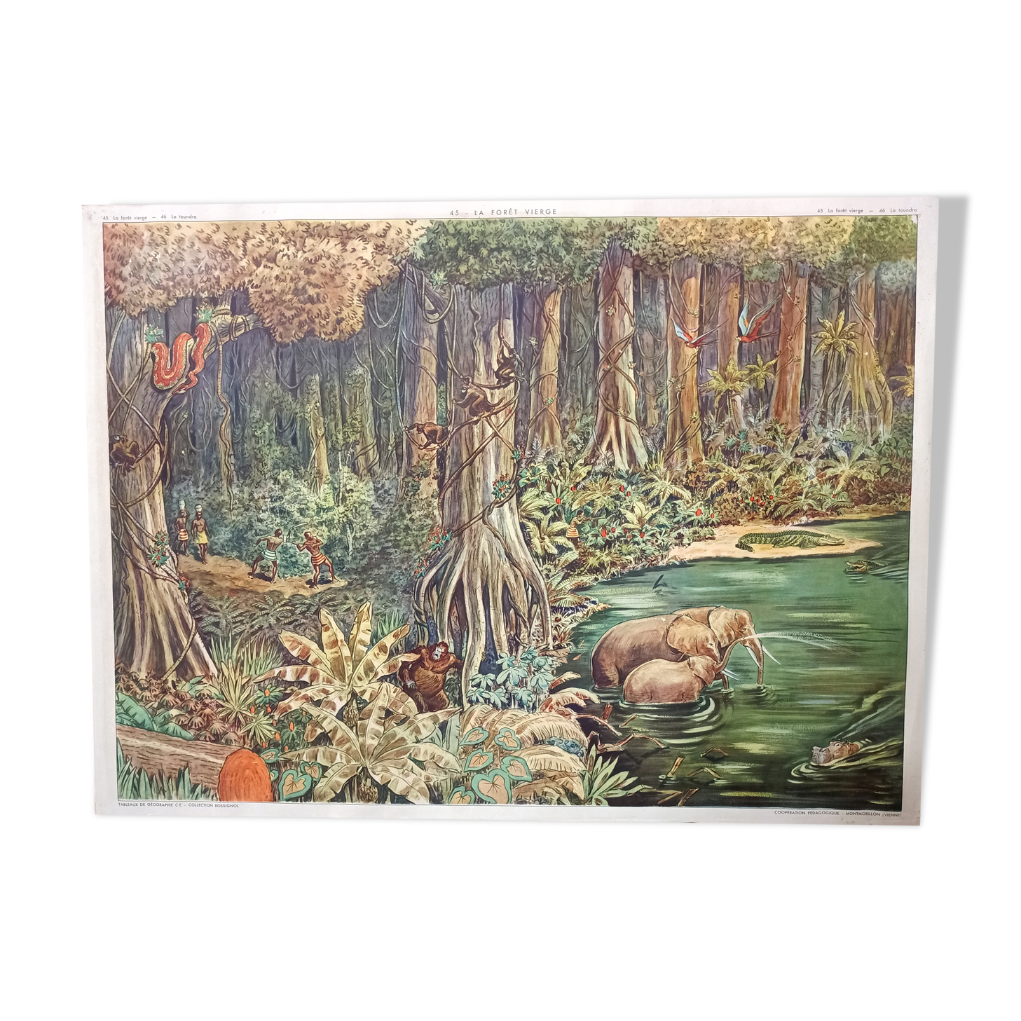 Rossignol school poster 45. The Virgin Forest 46 The Tundra