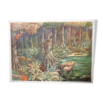 Rossignol school poster 45. The Virgin Forest 46 The Tundra