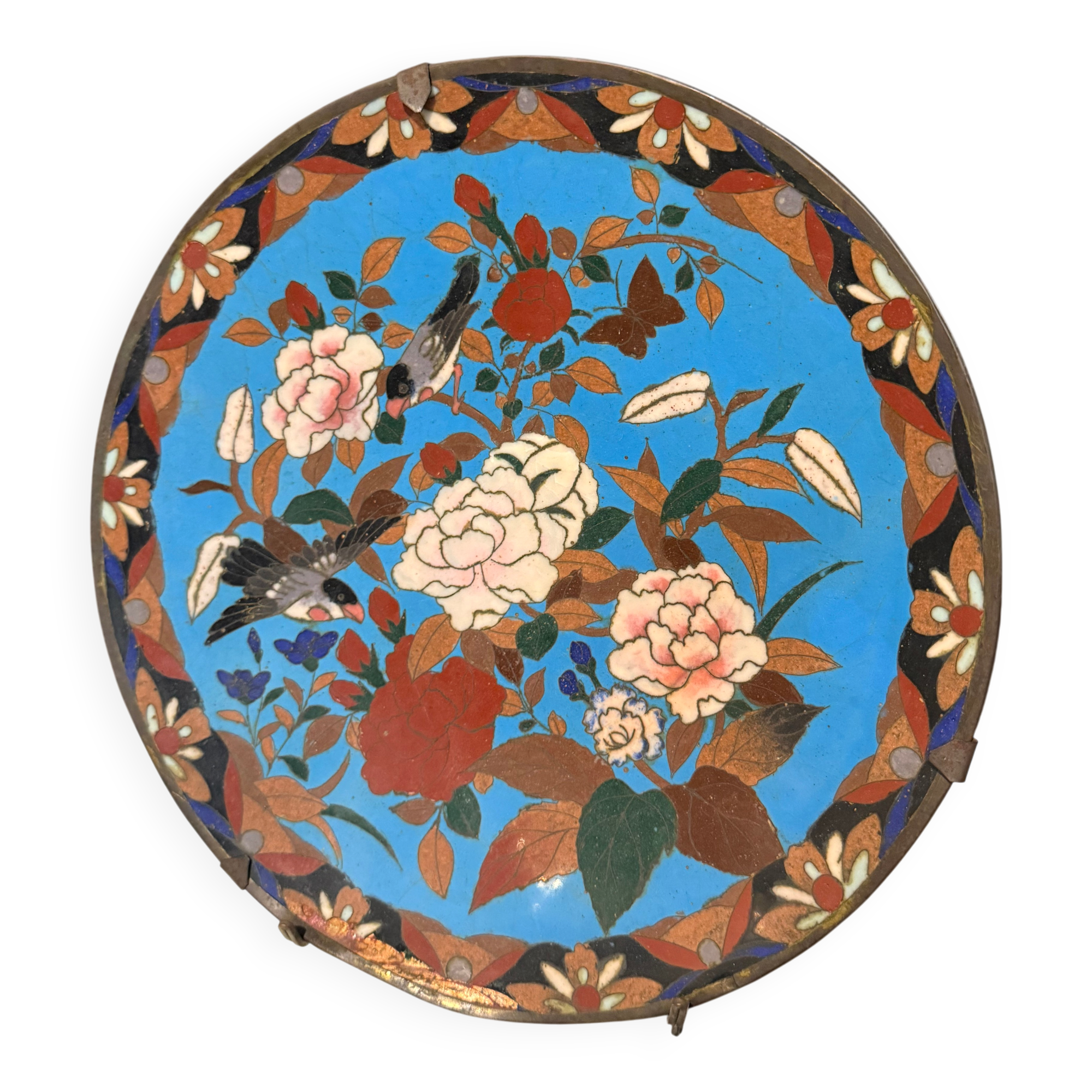 Partitioned plate