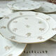 6 Flat plates porcelain white flowers golden Limoges Mehun