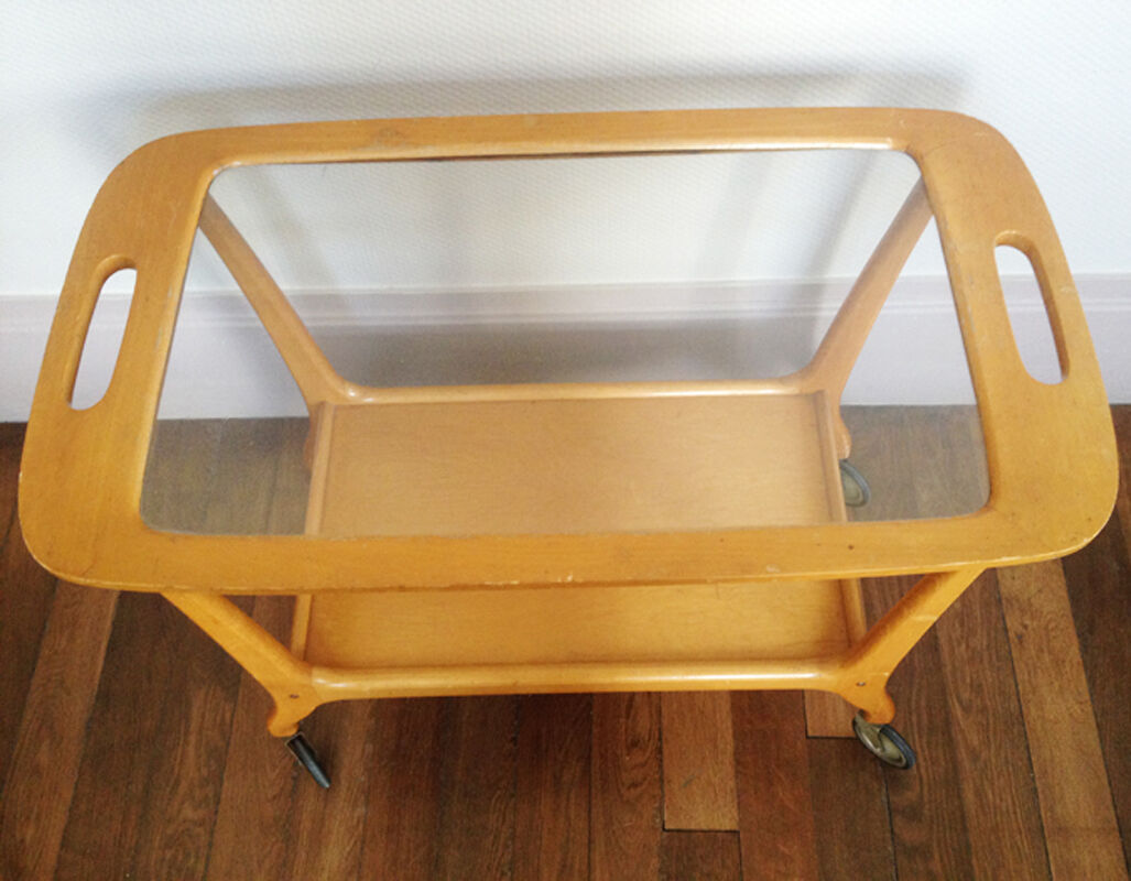 Scandinavian wheelchair service, 1960