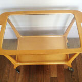 Scandinavian wheelchair service, 1960