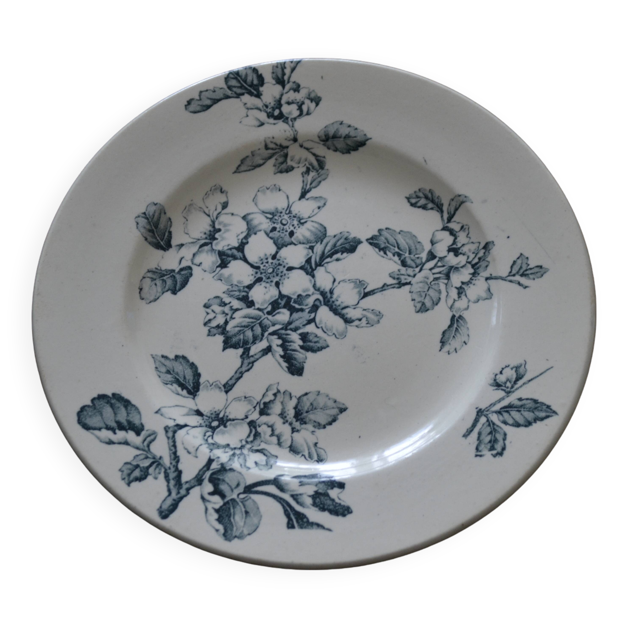 blue flower plate