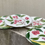 Hand painted fruit decor plates