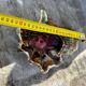 Vintage ceramic seashell trinket tray from Vallauris, 20/17 cm