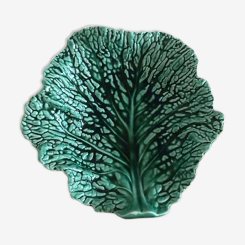 Cup slurry cabbage leaf