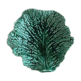 Cup slurry cabbage leaf