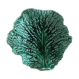 Cup slurry cabbage leaf
