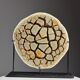Septaria nodule on custom stand