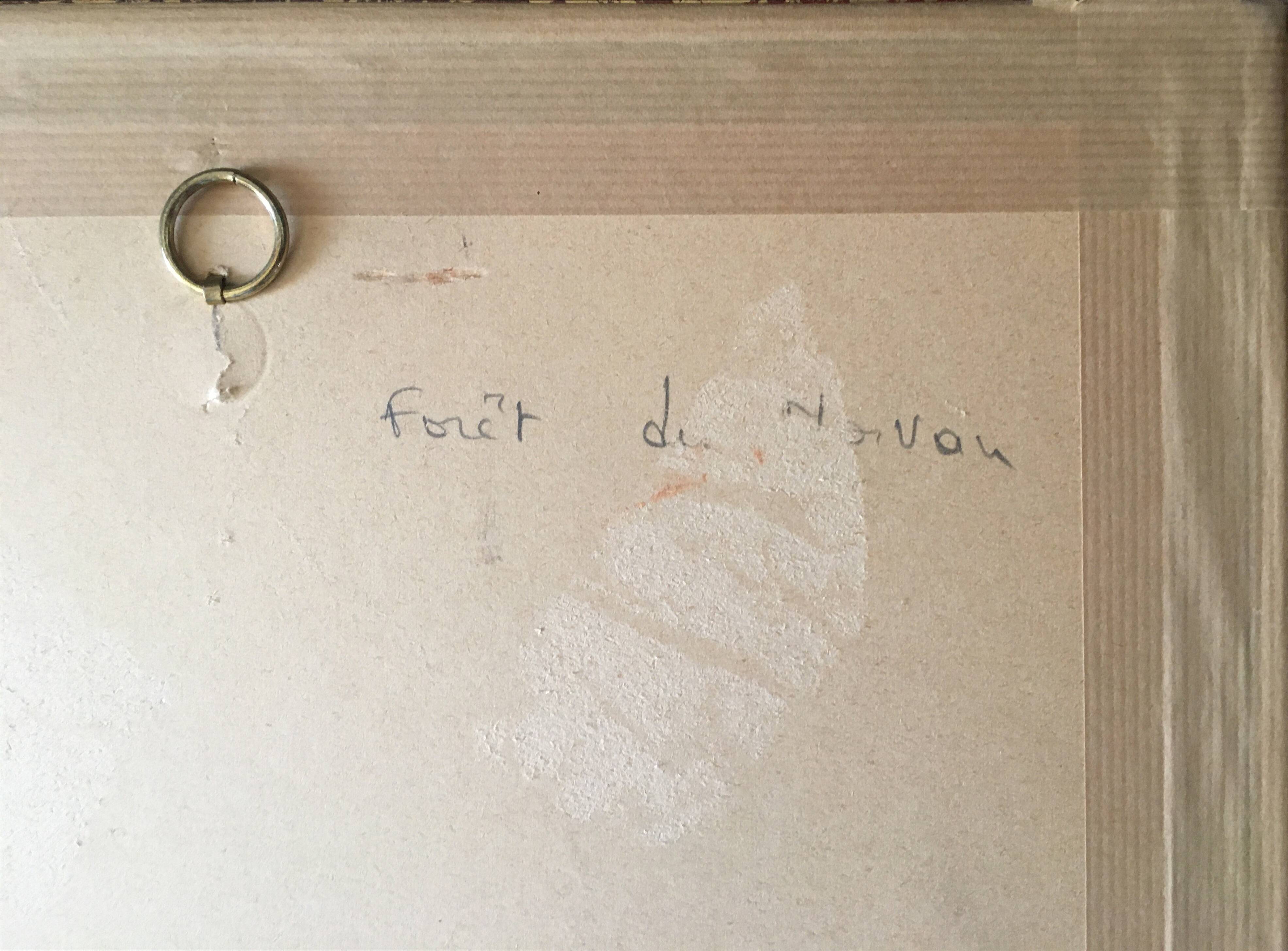 Table Aquarelle of the beginning of the 20th century: "Forest of morvan"