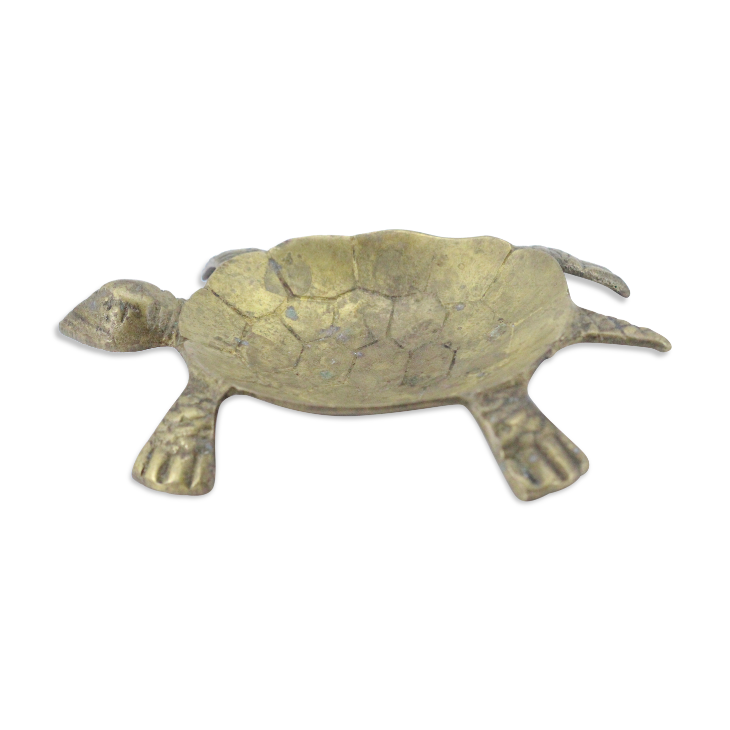 Empty brass turtle pocket