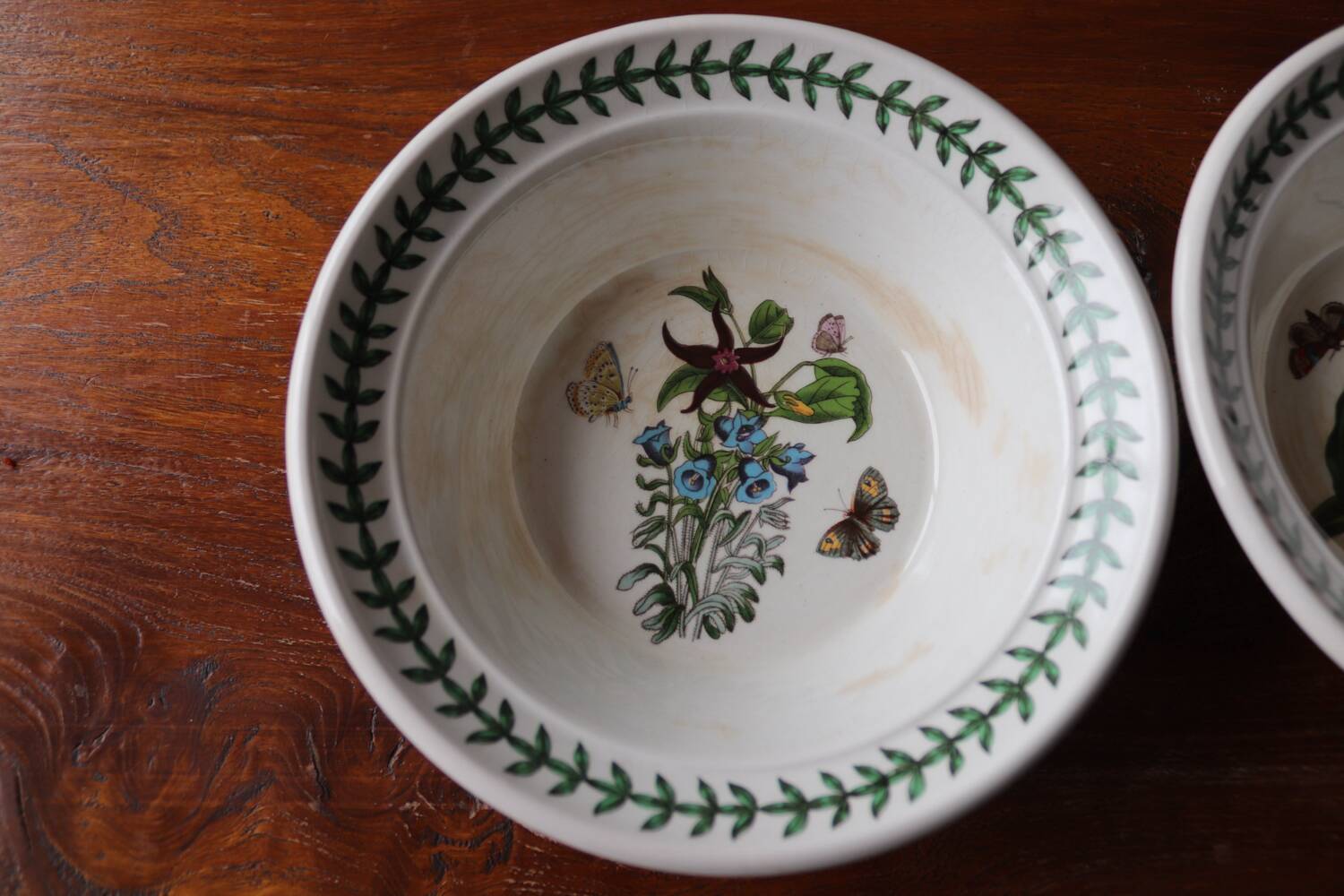 2 Vintage Bowls Botanical Garden – Portmeirion