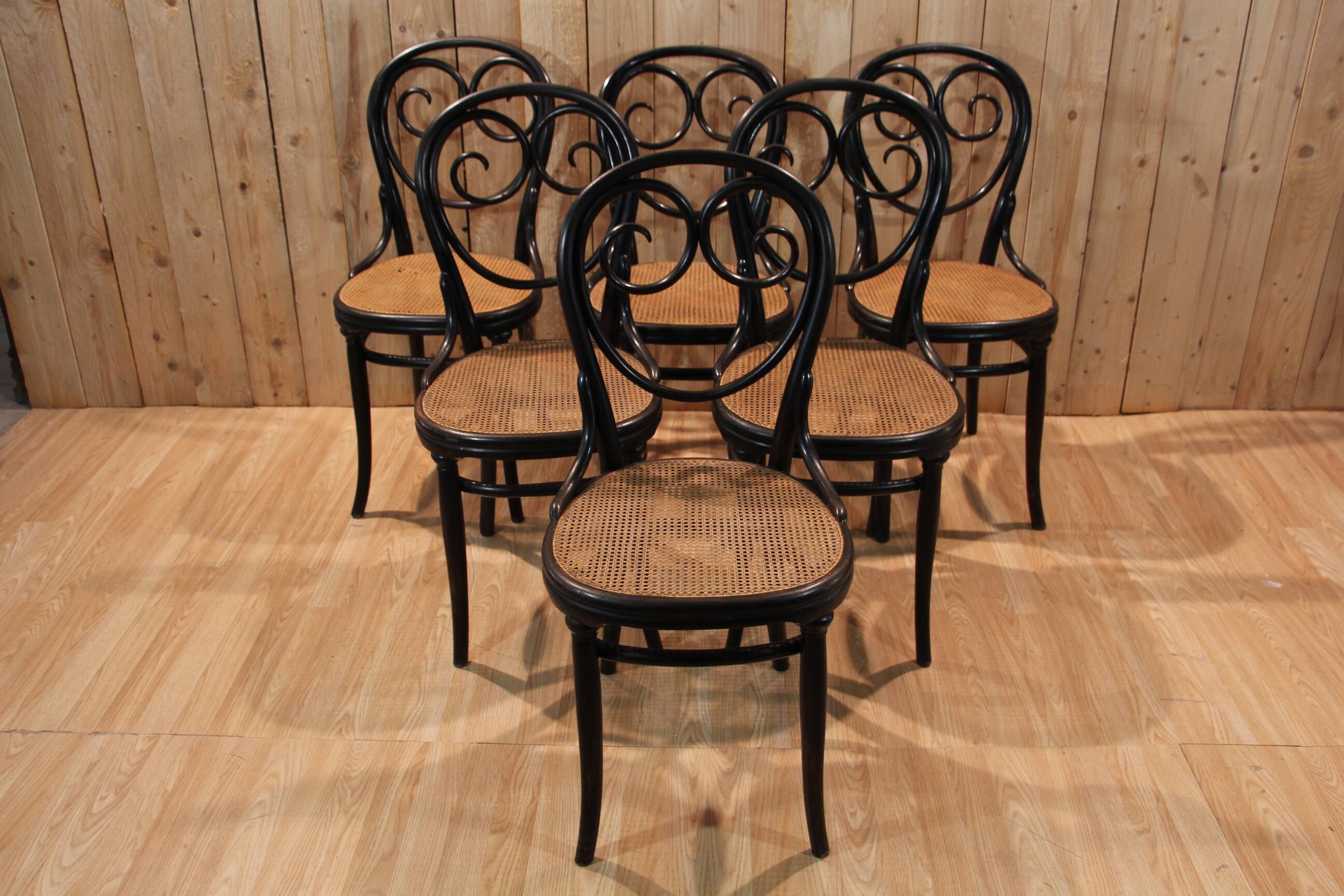 Series 6 Thonet chairs model no. 2