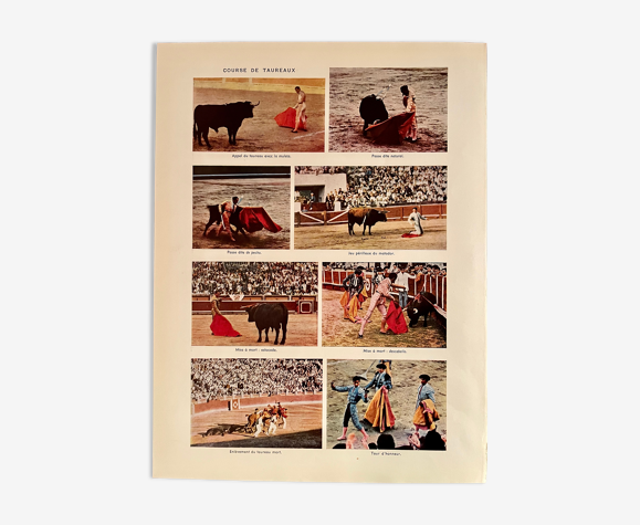 Planche photographique sur les courses de taureaux, années 1940-50