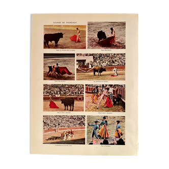 Photographic plate on bull racing, 1940s-50s