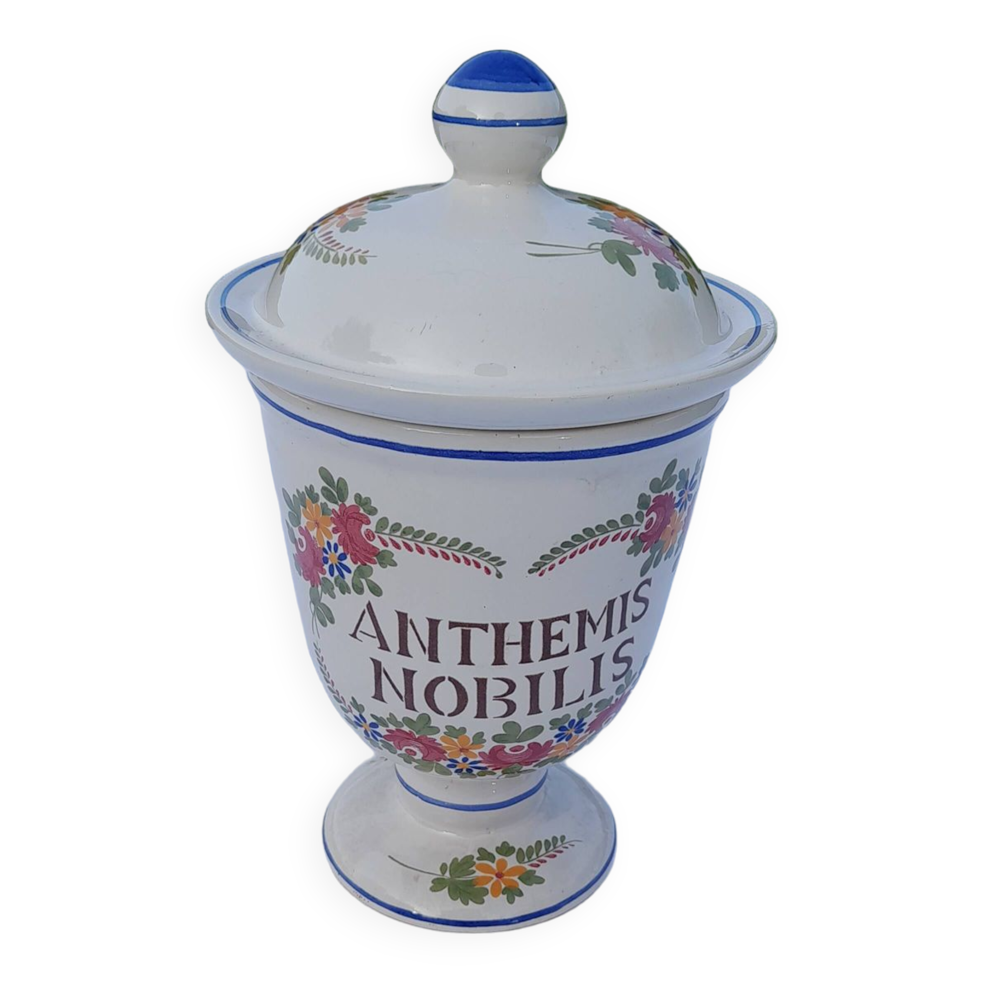 Anthemis nobilis pharmacy apothecary pot in earthenware from Saint Clément PDH
