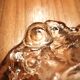 Snail-shaped pocket bowl / Fossil Jolanda Prinsen Walther Glass