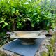 Large fruit bowl with mascaron signed WMF, Art Nouveau period.