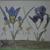 Framed botanical board