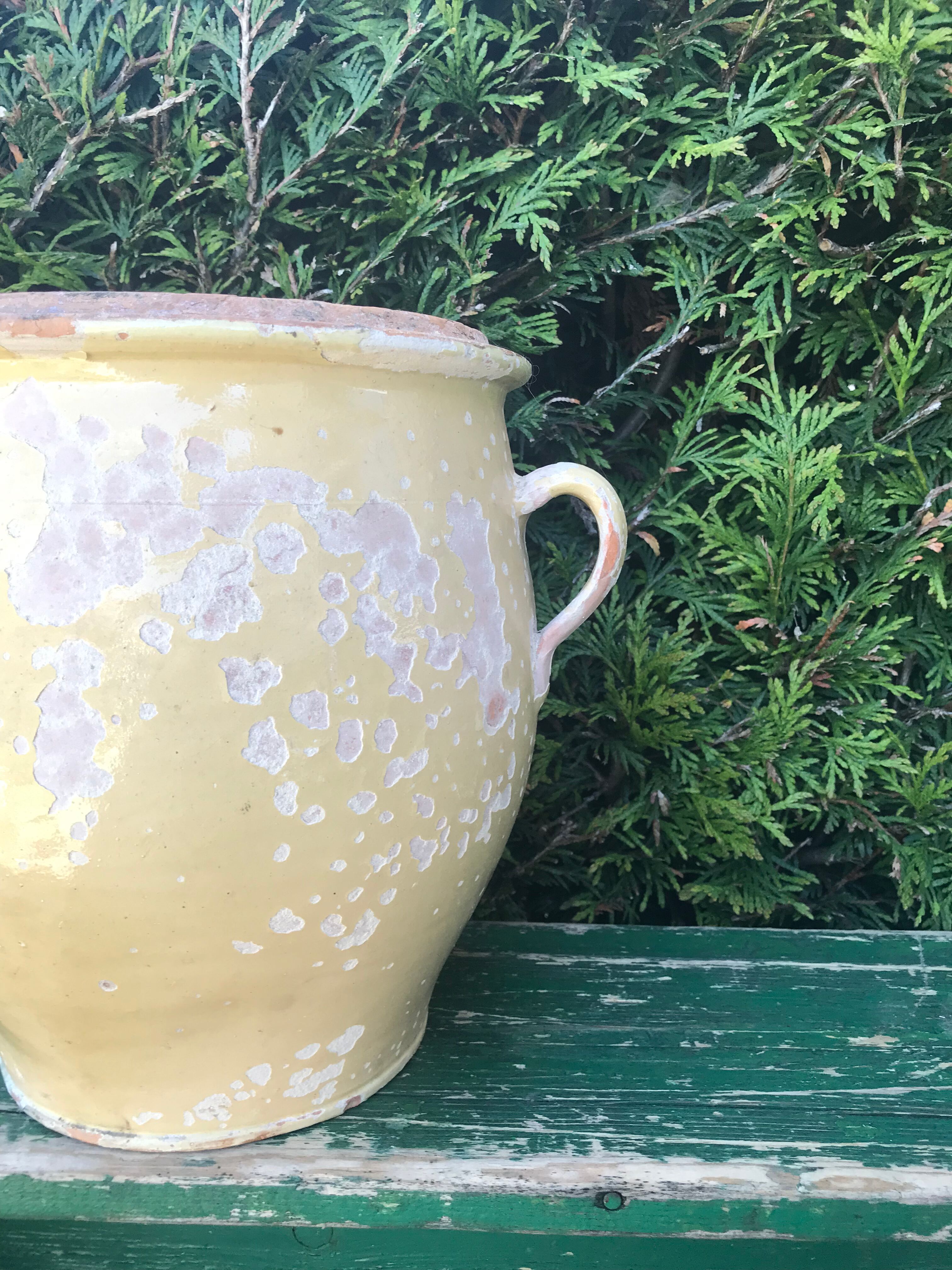 Old ceramic pot