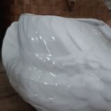 Swan plant pot