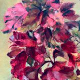 Huile sur panneau, Nature morte aux fleurs exotiques