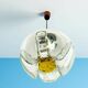 Mazzega style glass hanging lamp