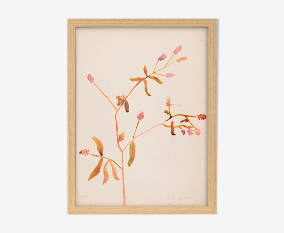 Illustration aquarelle fleurs