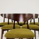 Chaises de salle à manger moderne design vert sauvage