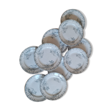 Set of 10 plates in iron earth