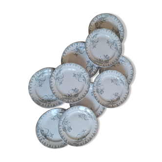 Set of 10 plates in iron earth
