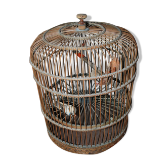 Vintage bird cage