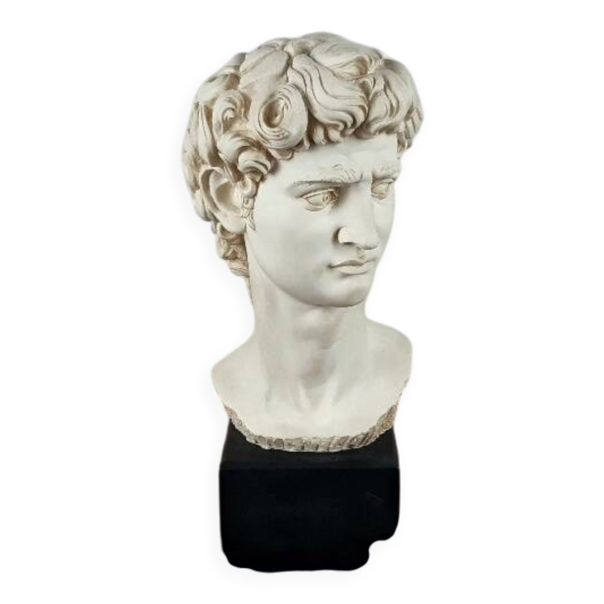 Buste vintage "David" de Michel-Ange