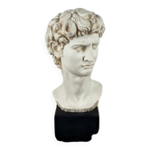 Large vintage bust "David" by Michelangelo
