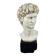 Buste vintage "David" de Michel-Ange