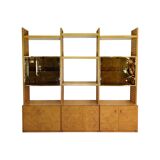 Gianluigi Gorgoni Display Unit 1970s  Fratelli Turi Bookshelf Glass Brass Briar Burl rizzo