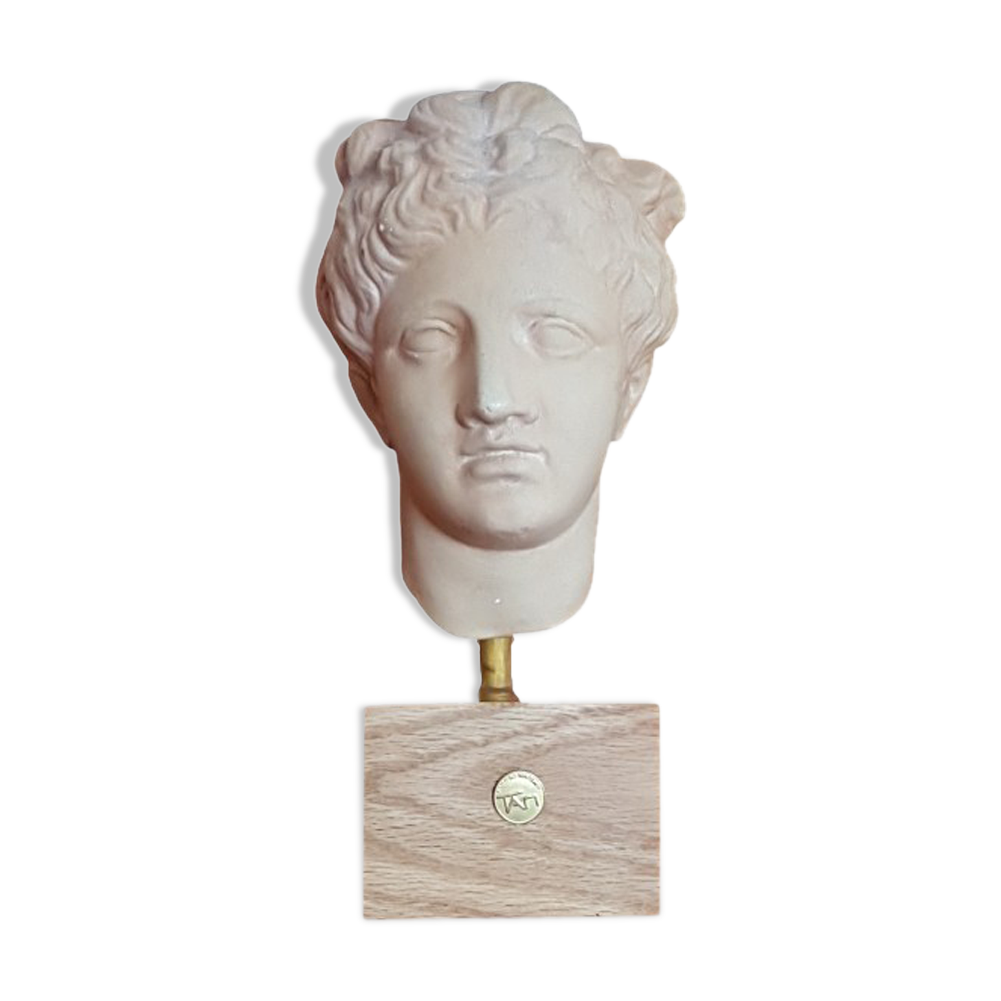 Head to the antique plaster