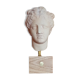 Tête à l'antique en plâtre