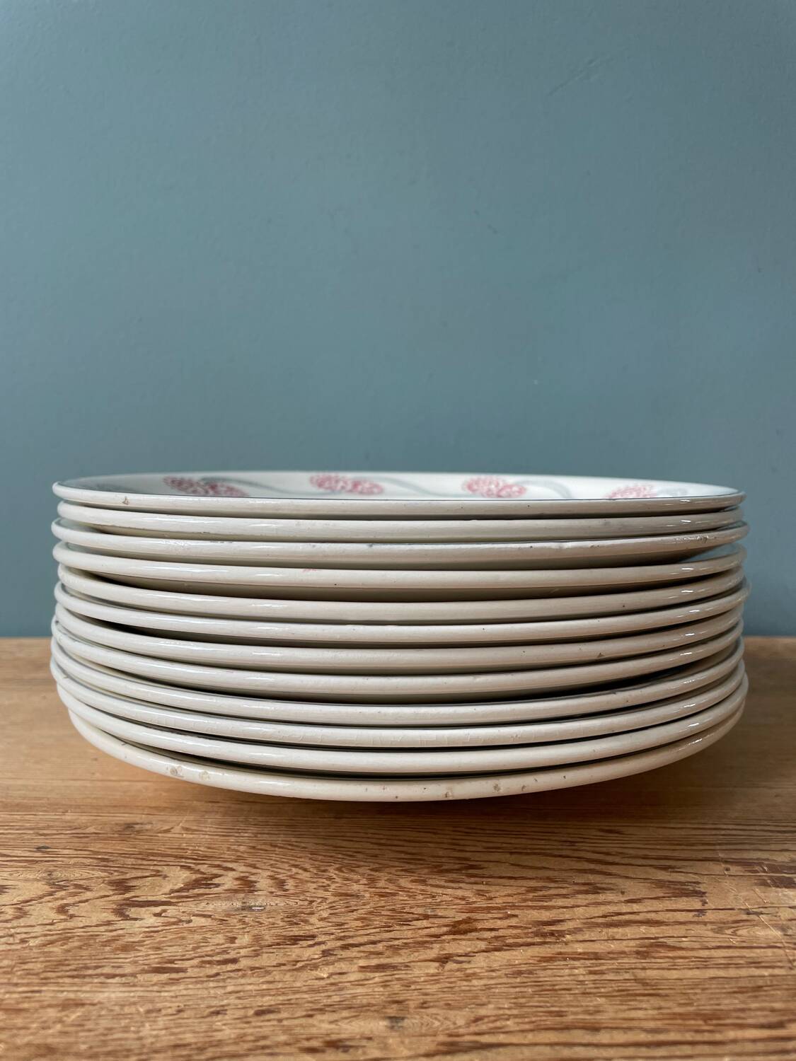 Série de 12 assiettes plates 1900 Terre de Fer en faïence de Longwy